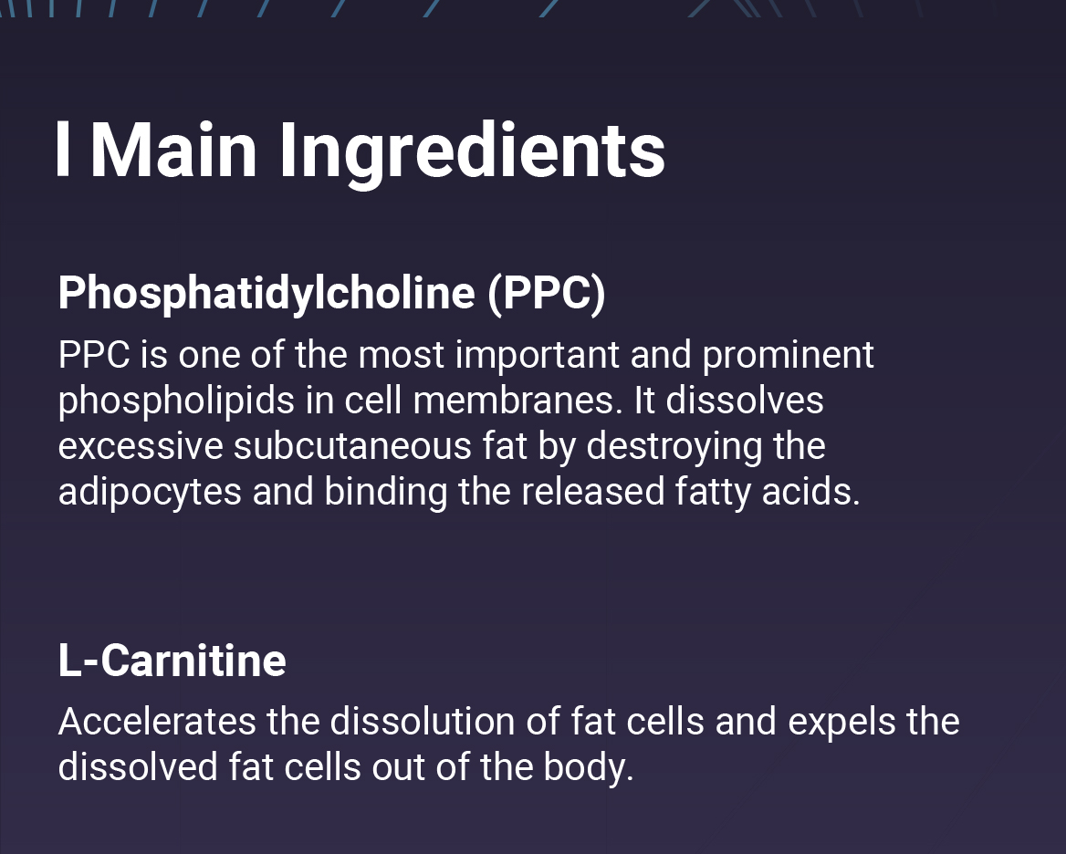 LIPORAH S (for body) - photo 3