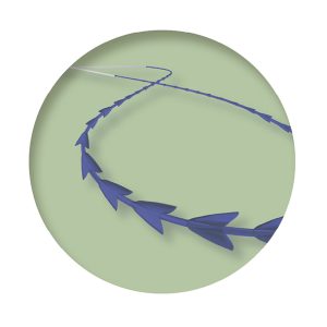 Everline Arm Carving Cog