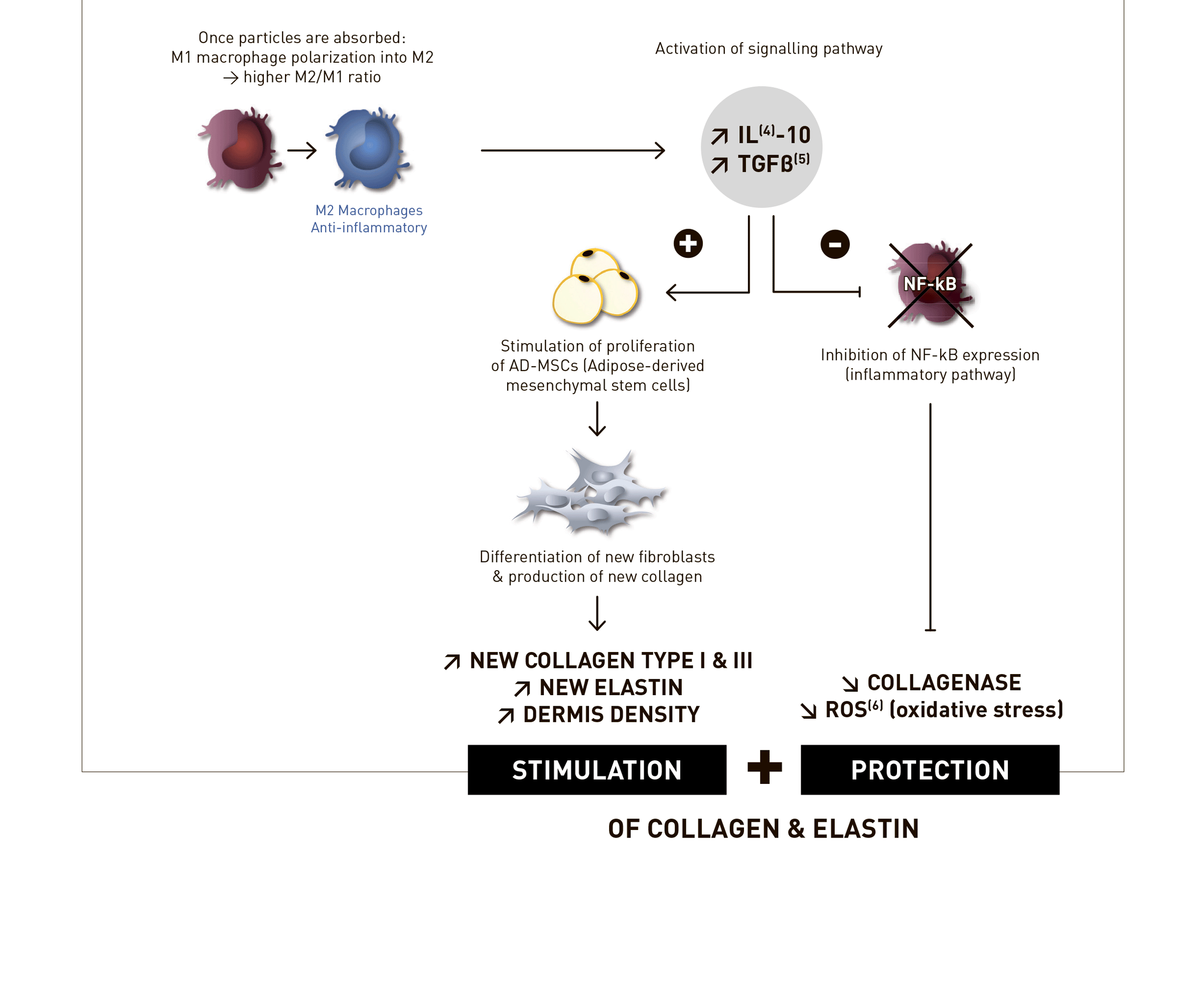 Juvelook Volume (200mg) - photo 27