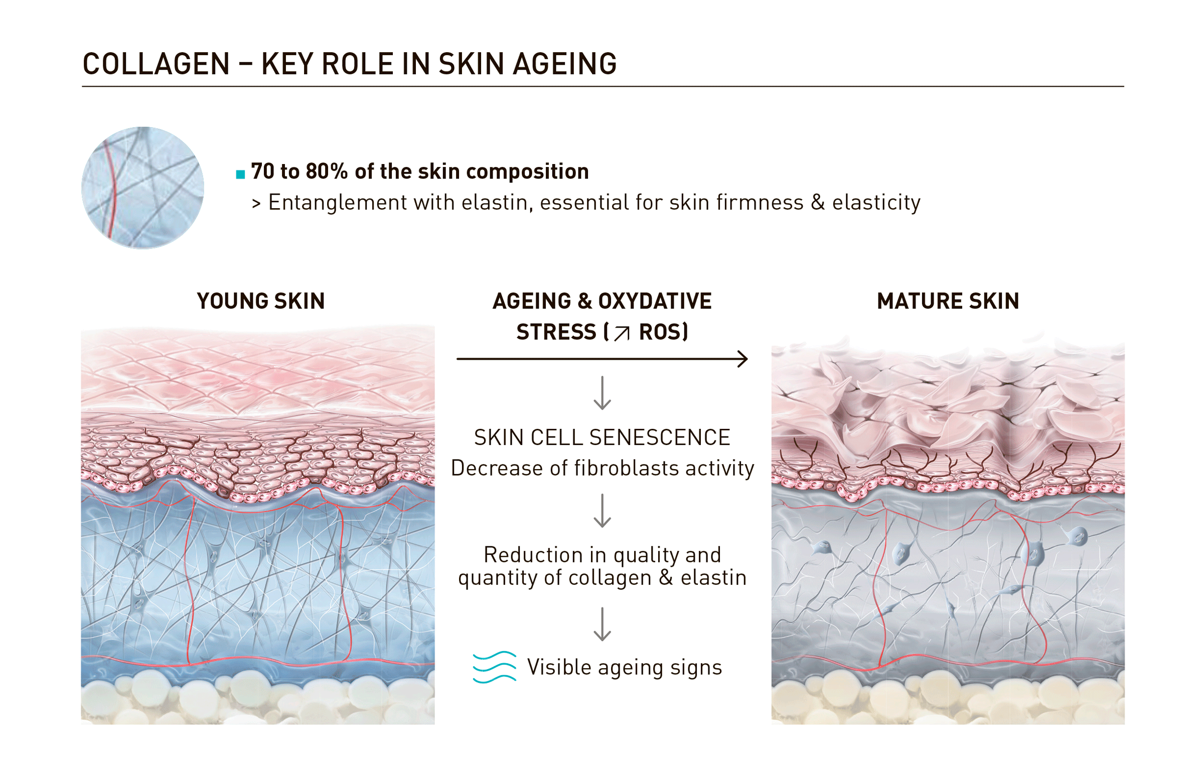 Juvelook Volume (200mg) - photo 19