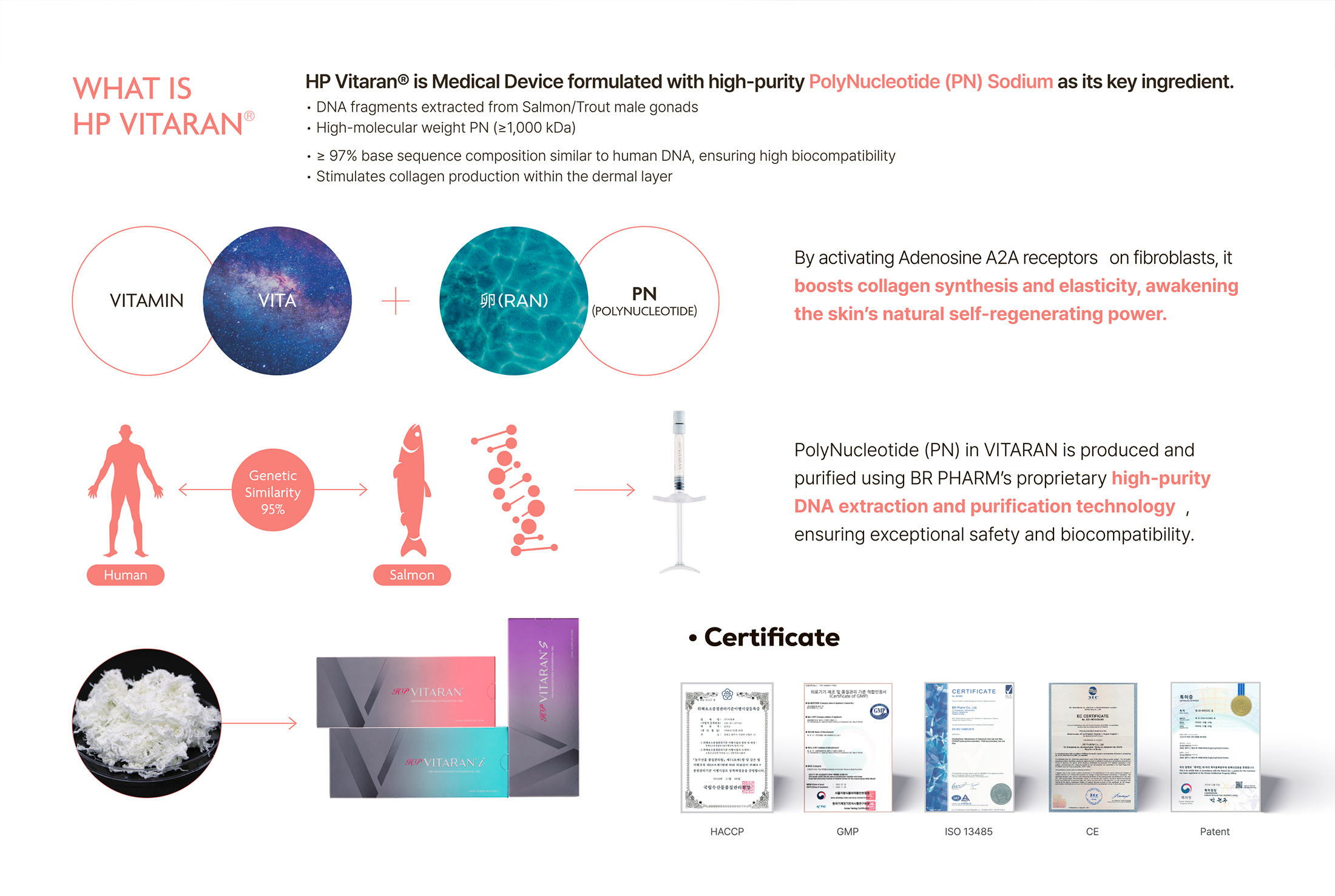 HP Vitaran S - photo 13