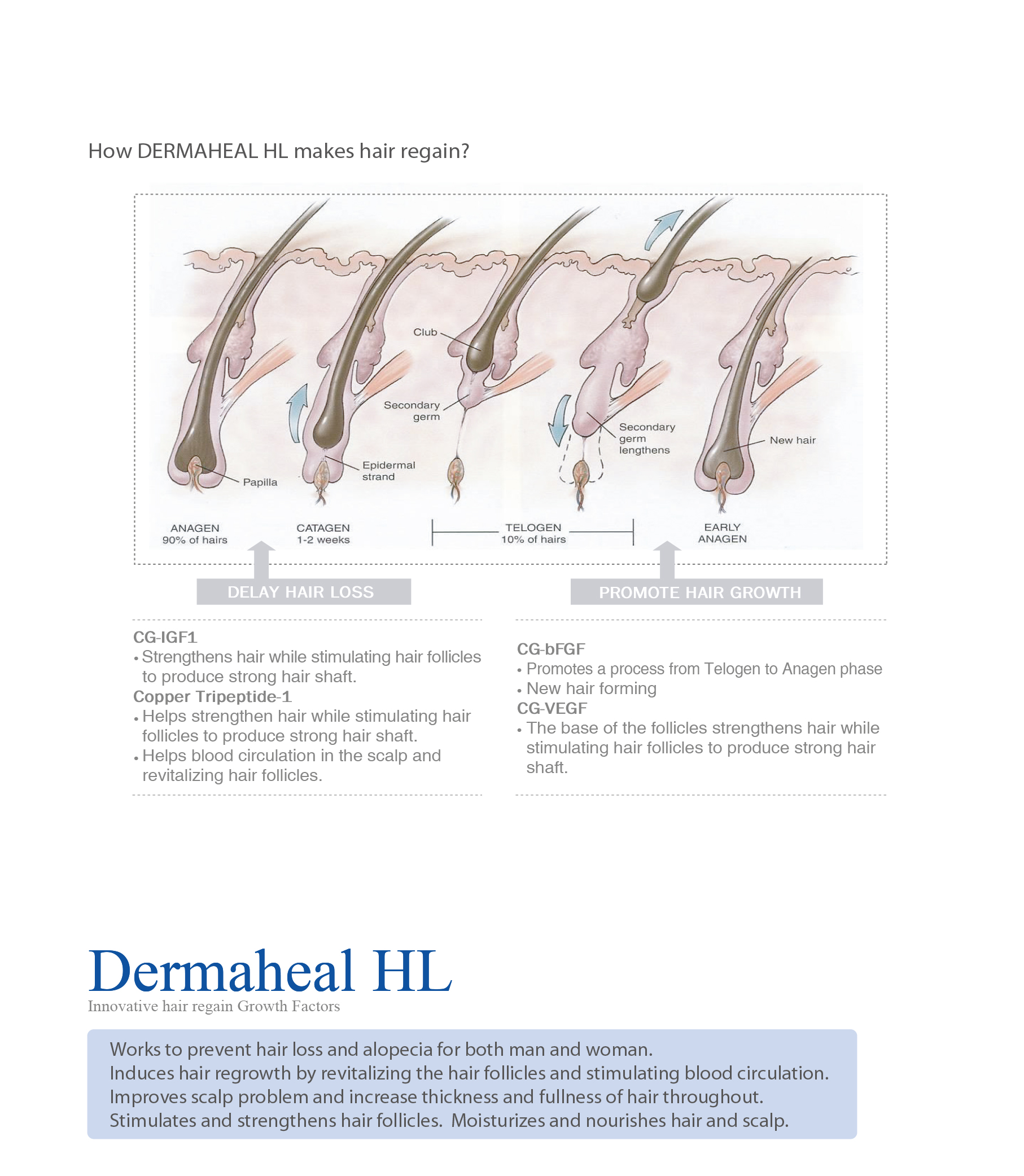 Dermaheal HL - photo 15