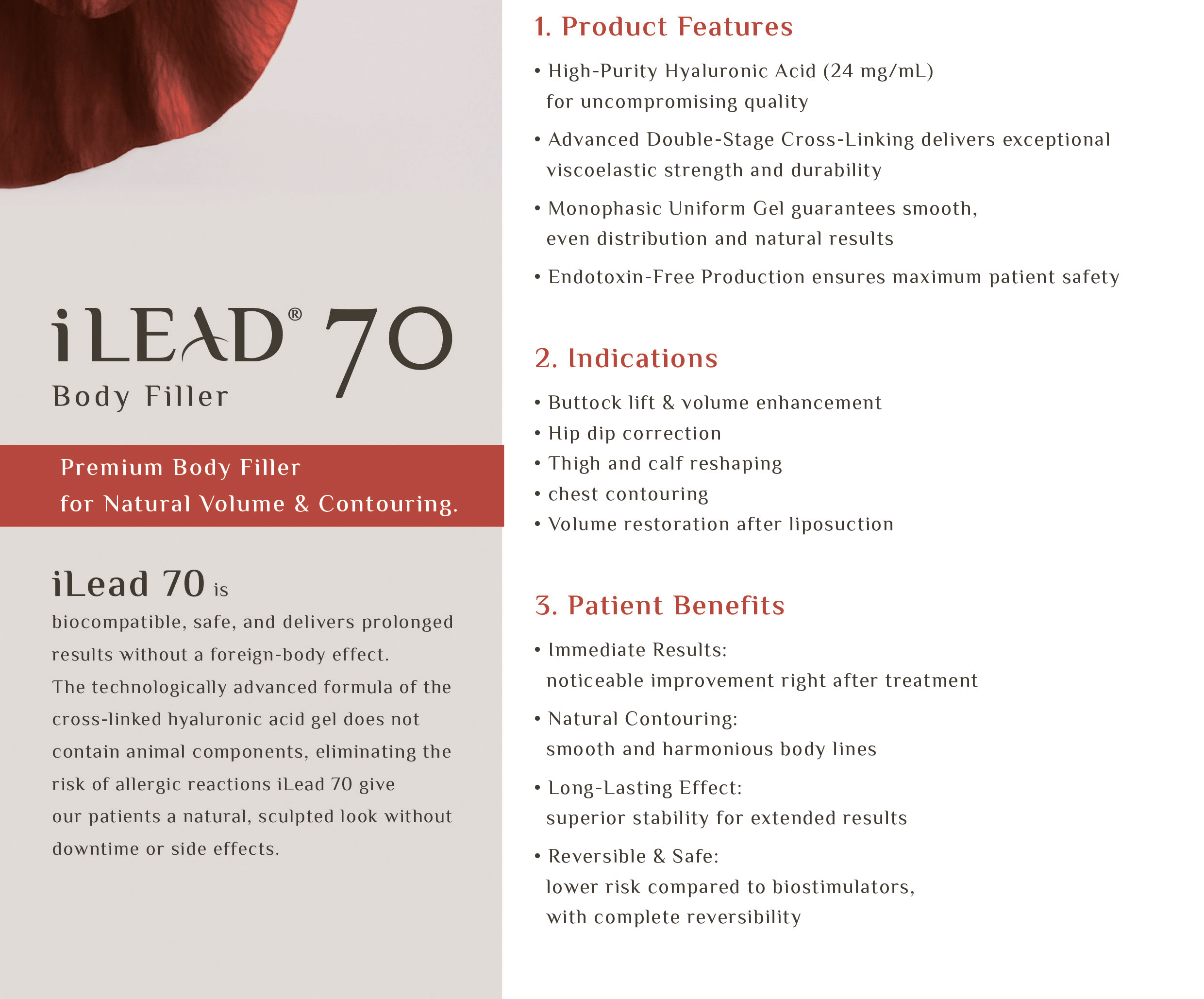 iLEAD 70 - photo 8