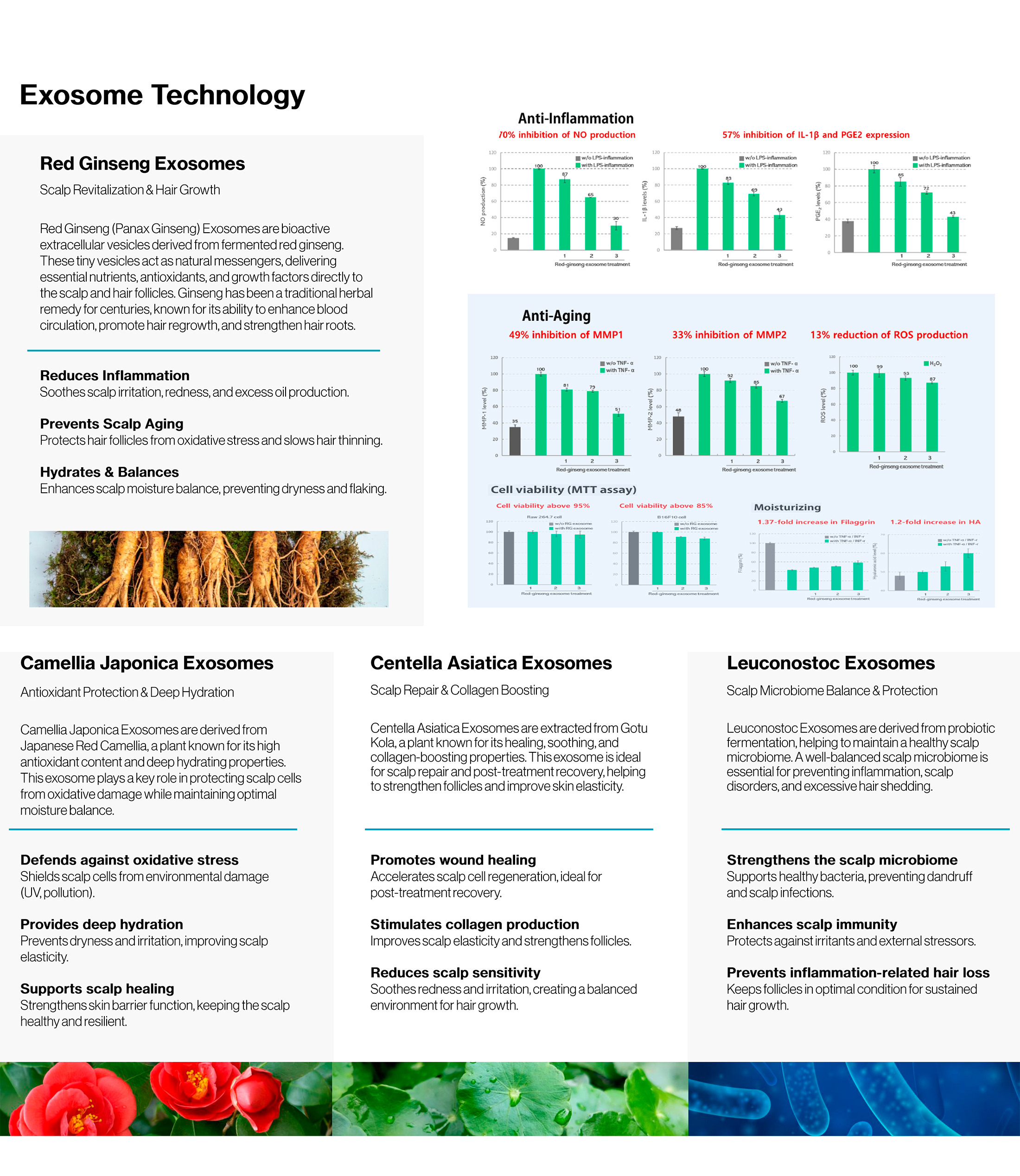 Exovera 4x - photo 14