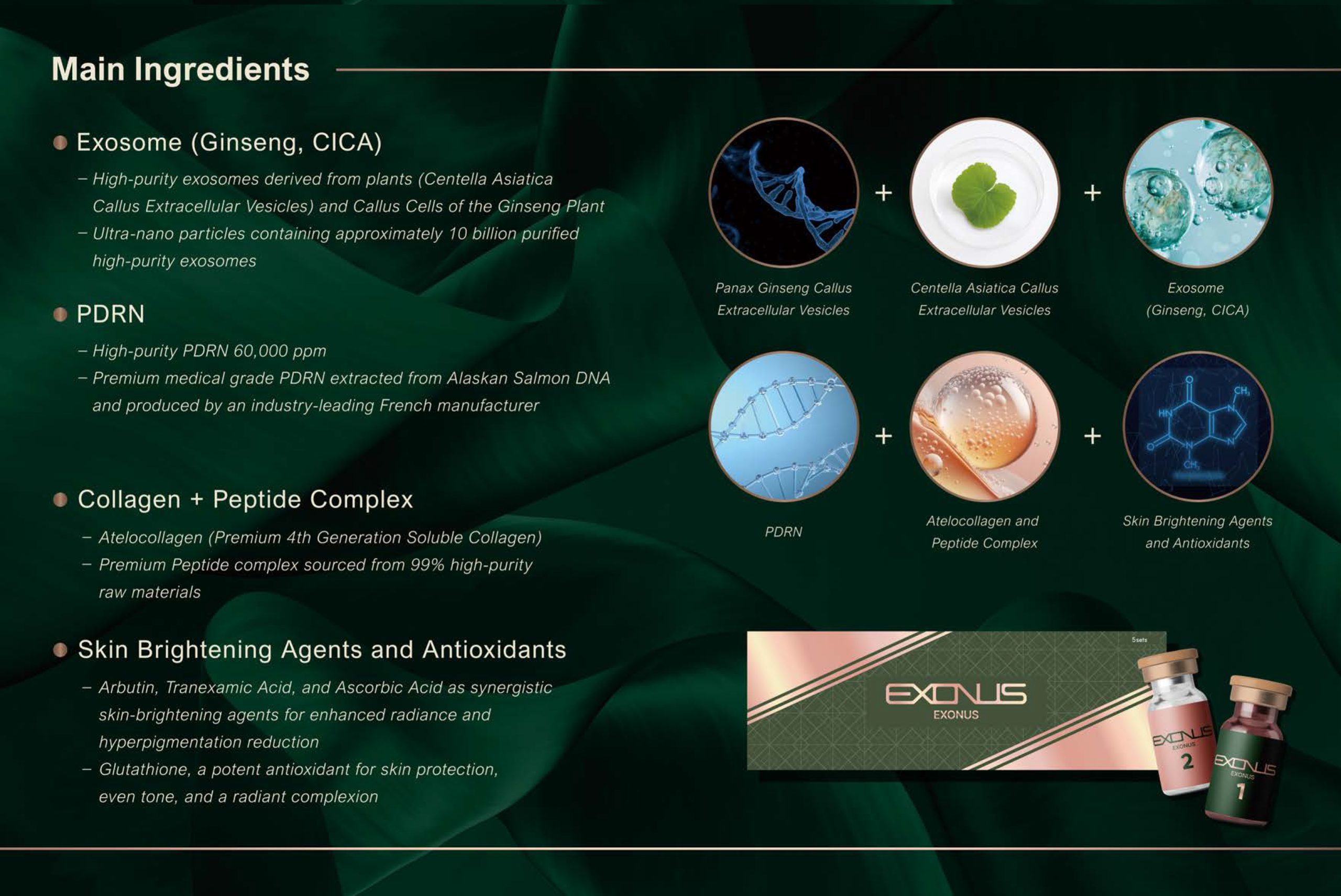 Exonus - photo 23
