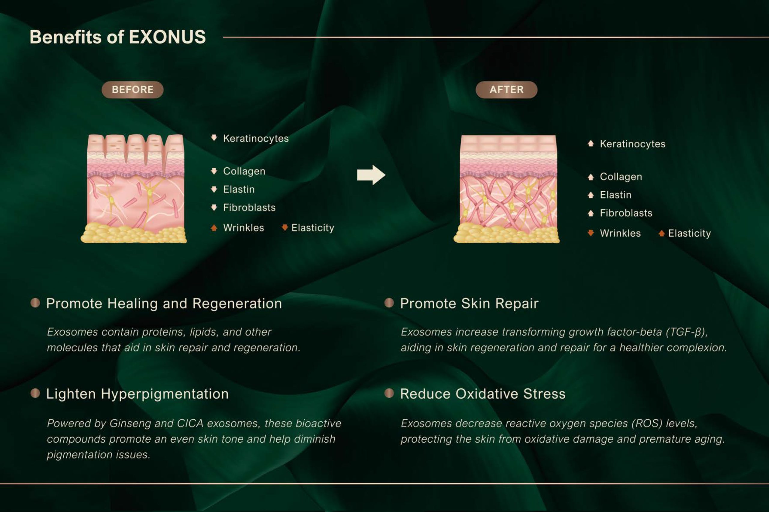 Exonus - photo 24