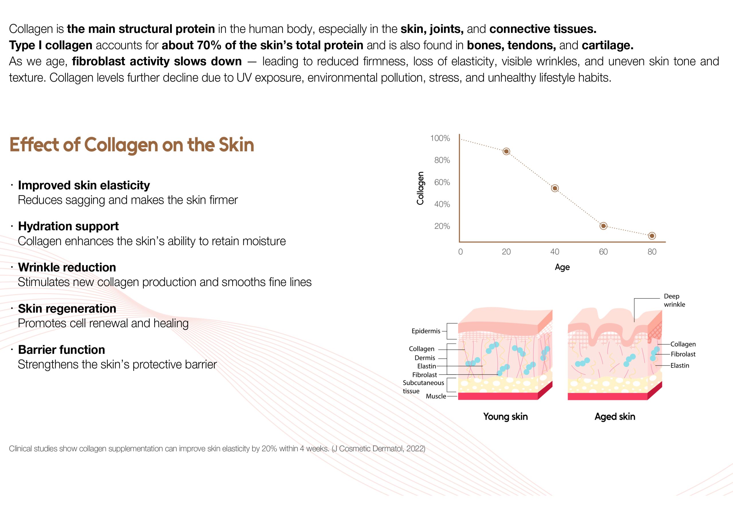 Lapiena RH-X Collagen - photo 13