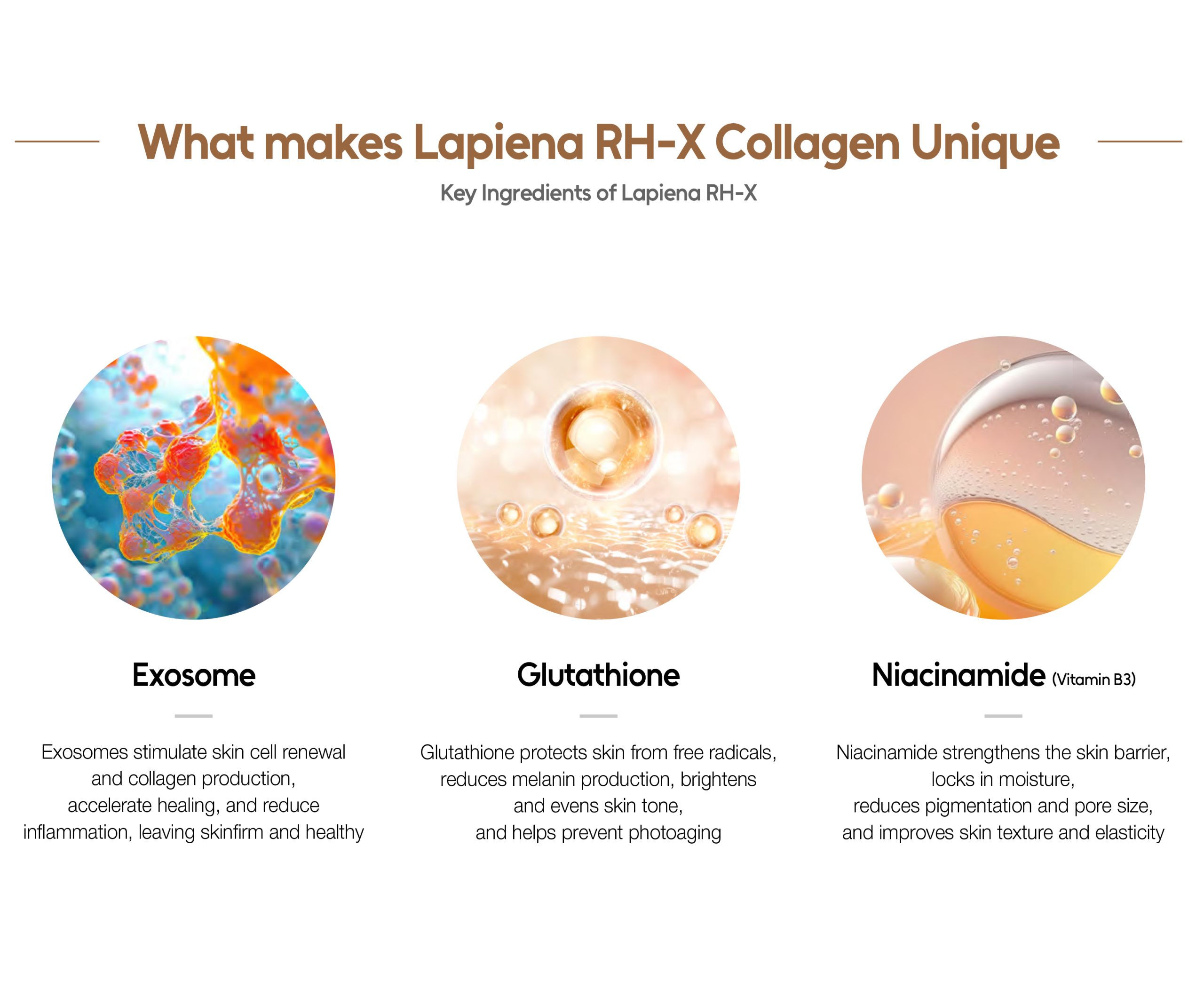 Lapiena RH-X Collagen - photo 18