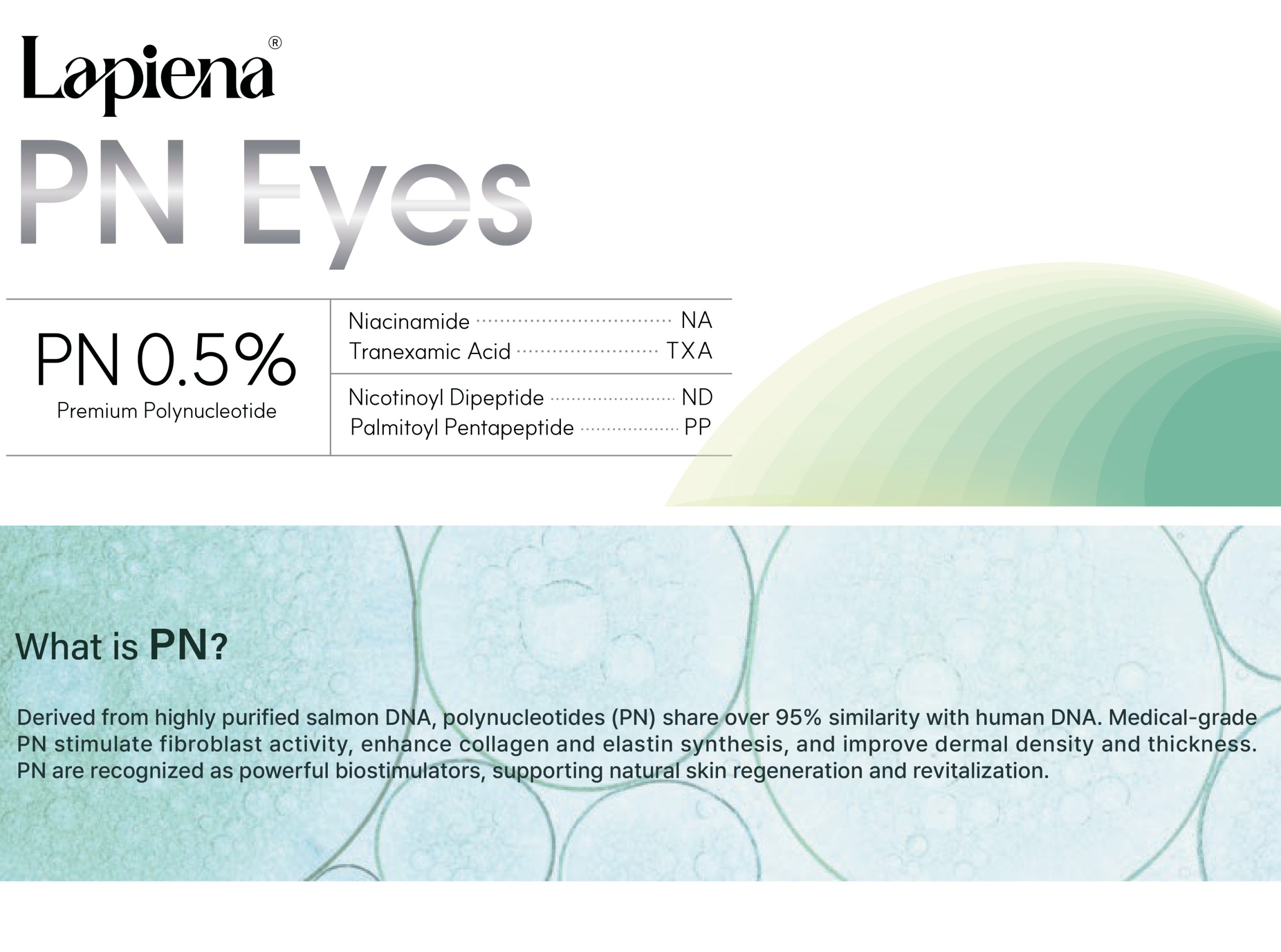 Lapiena PN Eyes - photo 12